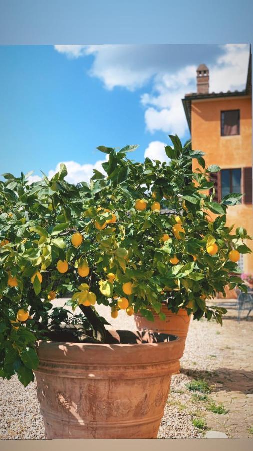 Fattoria Di Catignano Pension San Giovanni  Buitenkant foto