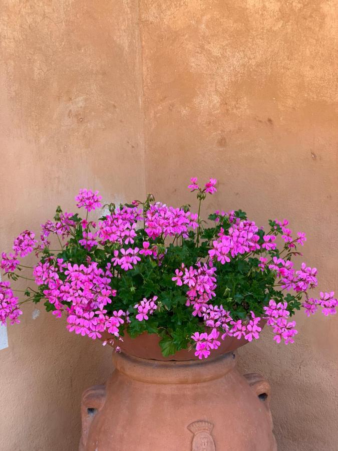 Fattoria Di Catignano Pension San Giovanni  Buitenkant foto